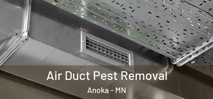  Air Duct Pest Removal Anoka - MN