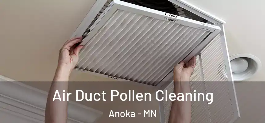  Air Duct Pollen Cleaning Anoka - MN