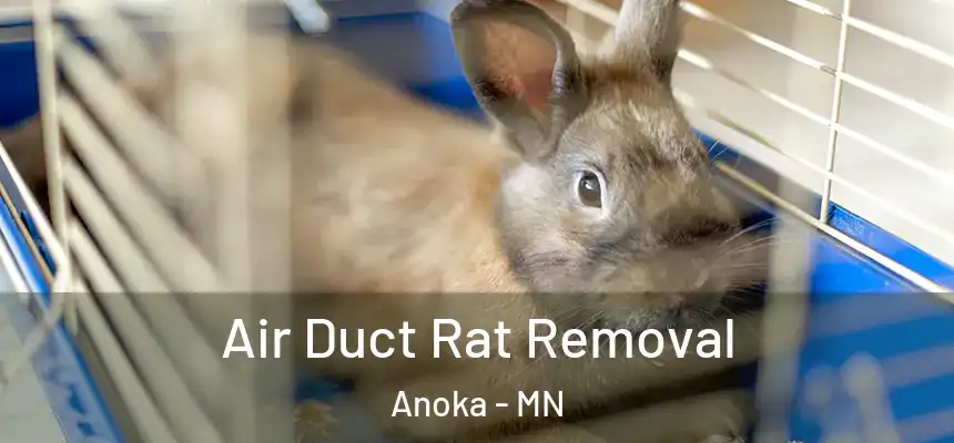  Air Duct Rat Removal Anoka - MN