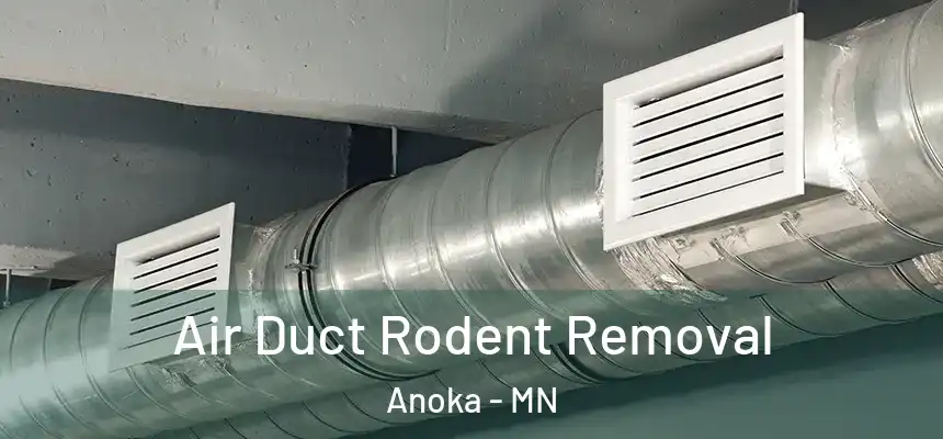  Air Duct Rodent Removal Anoka - MN