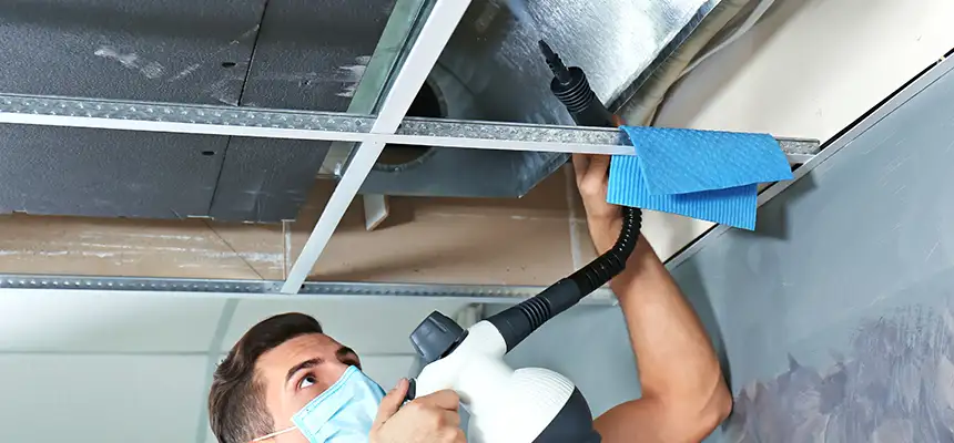 Our Air Duct Rodent Removal Services in Anoka, MN