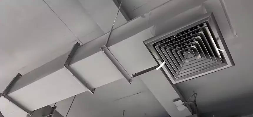 Our Pest Removal From Ducts Services in Anoka, MN