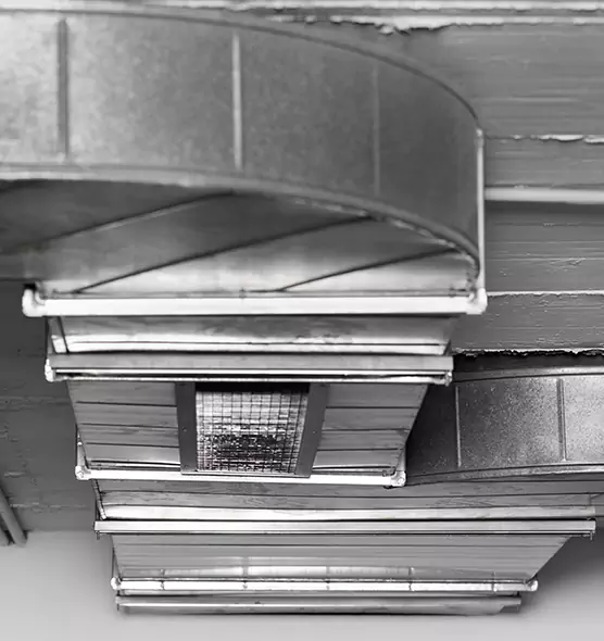 Professional Air Duct Pest Removal in Anoka, MN