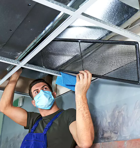 Professional Air Duct Pollen Cleaning in Anoka, MN