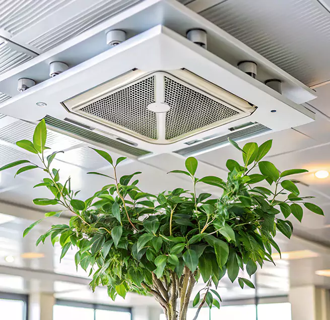 Why Homeowners & Businesses Trust Us in Anoka, MN