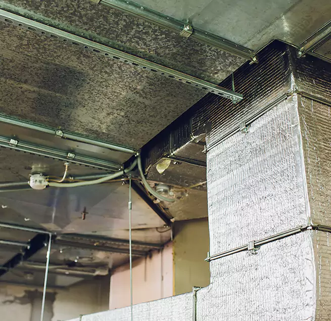 Why Homeowners & Businesses Trust Us in Anoka, MN?